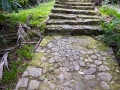 003_botanischer_garten_20240929_R0011_web