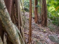 005_botanischer_garten_20240929_R0012-Verbessert-RR_web
