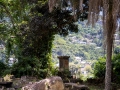 friedhof_20241004_R0749_web