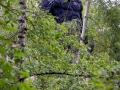 King Kong (Ottmar Hörl)