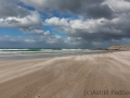 Volunteer Beach