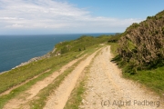 Küstenpfad nach Woolacombe