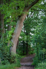 Landschaft Weyerberg