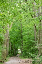 Landschaft Weyerberg