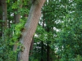 Landschaft Weyerberg