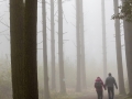 WildtierPark Edersee