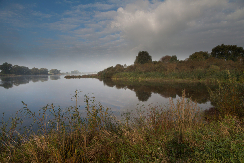 Die Elbe