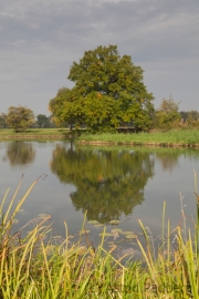 Gartenreich Dessau-Wörlitz