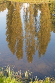 Gartenreich Dessau-Wörlitz