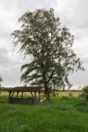 Landschaft bei Melchers Hütte