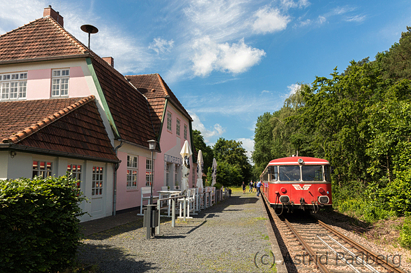 Worpswede, Moorexpress
