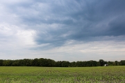 Landschaft Weyerberg