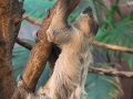 zoo_london_0005_web