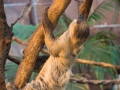 zoo_london_0006_web