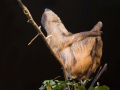 zoo_london_0010_web